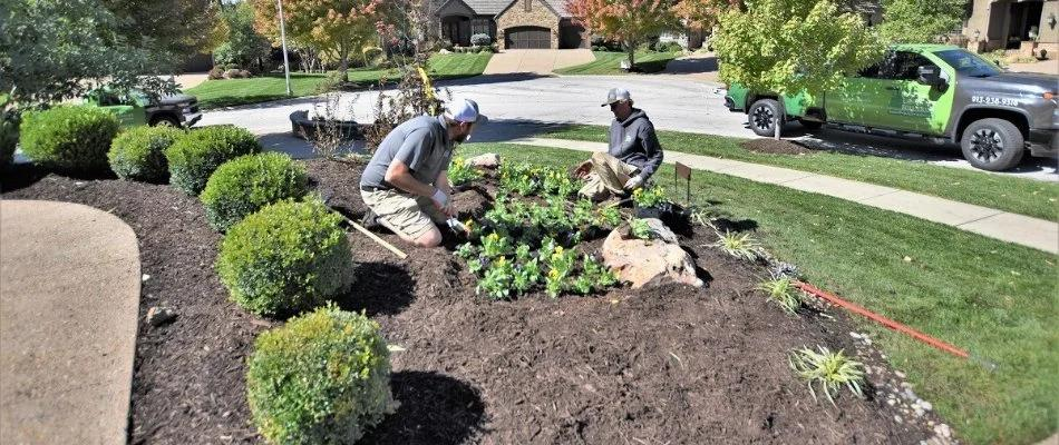 Summer Landscaping Tips for a Healthy, Beautiful Lawn in Saint Lucie and Martin Counties, Florida | J.A.A. Lawn Landscaping LLC