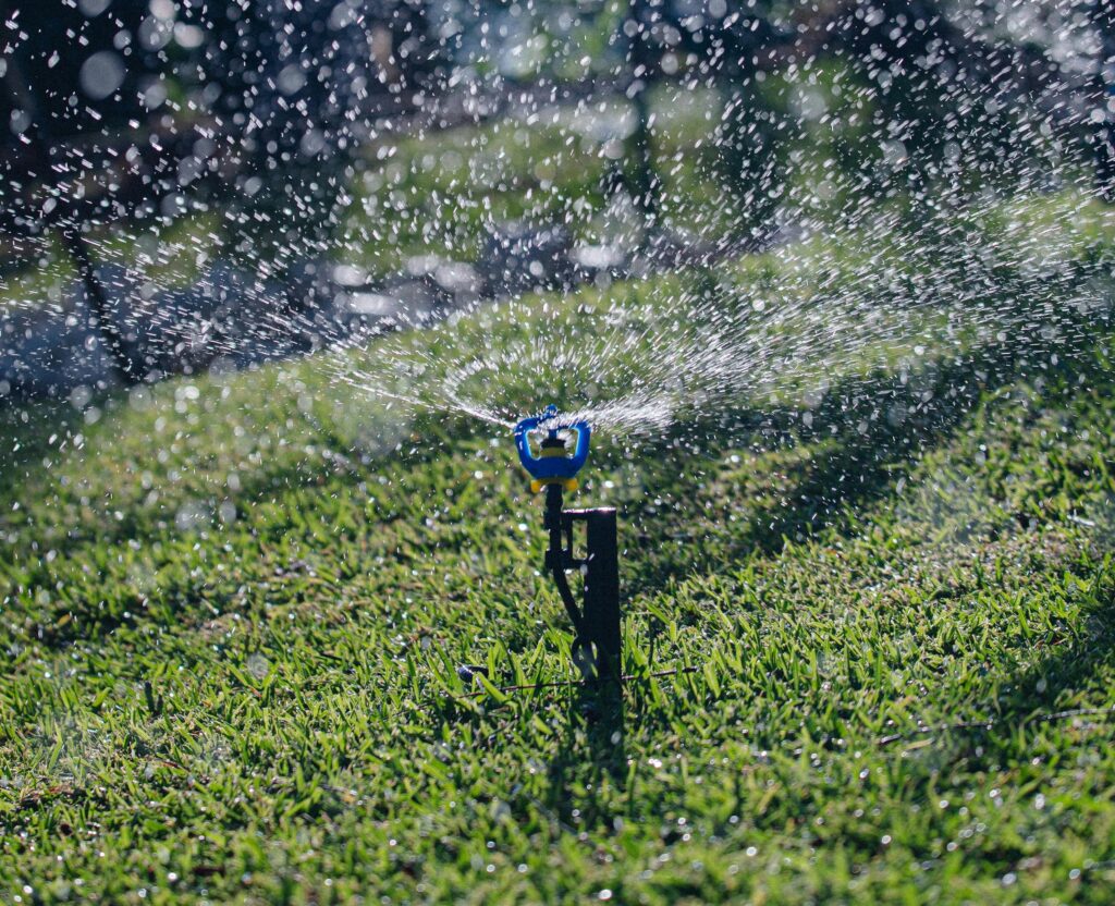 summer lawn care irrigation in Port Saint Lucie, FL
